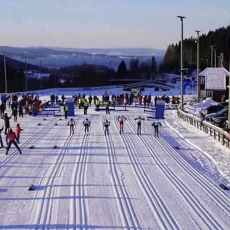 Trines Hjerterom Rum i privatbostad Steinkjer