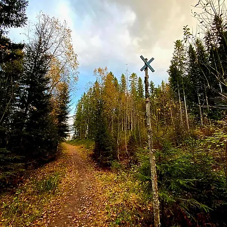 Trines Hjerterom Steinkjer